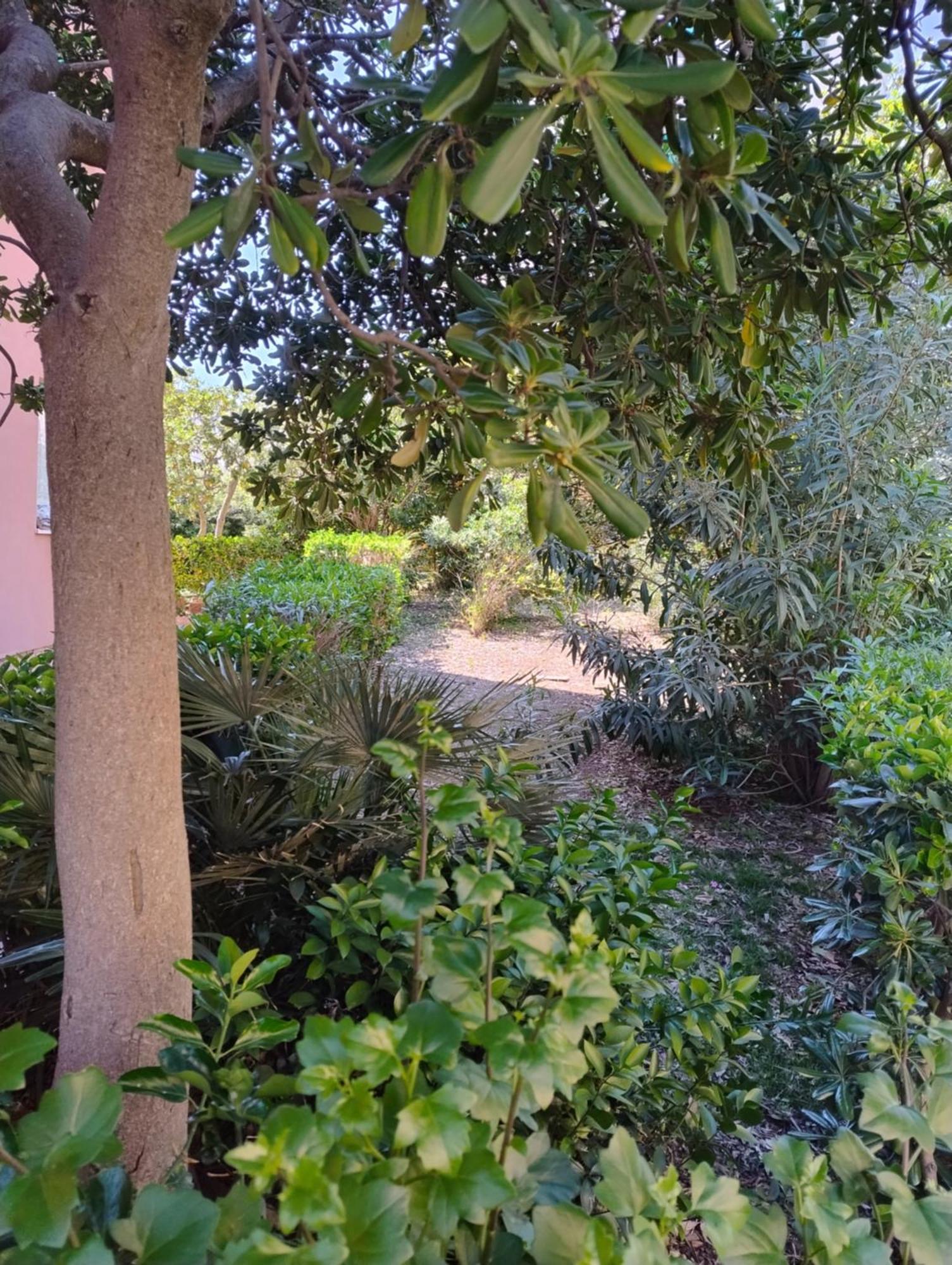 Destinazione Paradiso Appartement Piombino Buitenkant foto